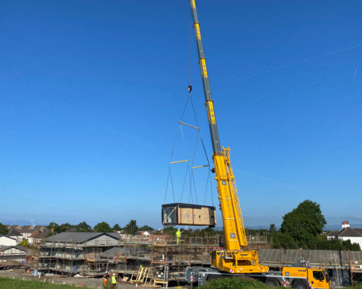 cranebungalow