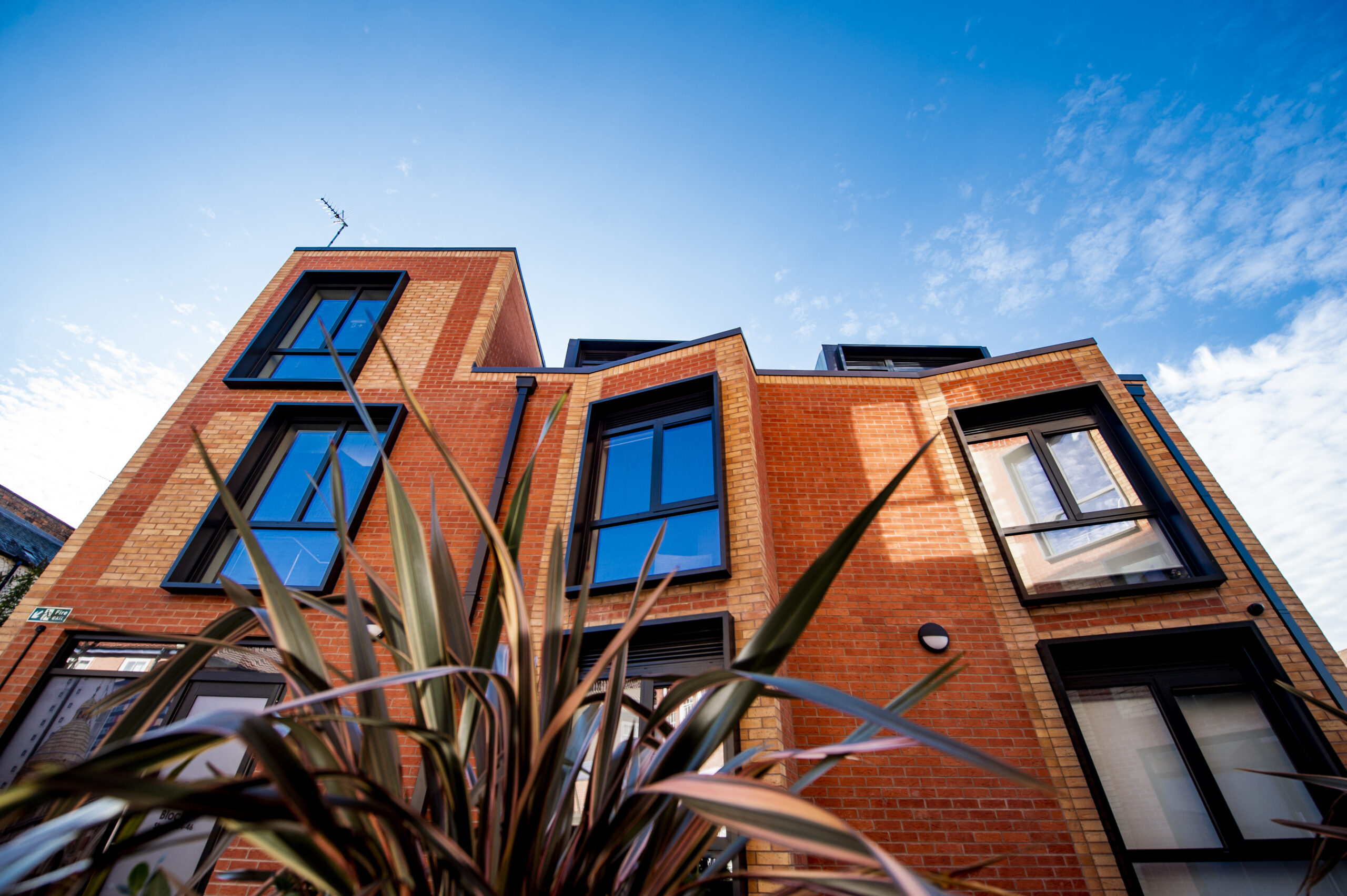 [Pictures copyrighted to Beth Walsh- contact 07888753521]STEPNELL LICENCE